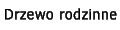 Drzewo rodzinne